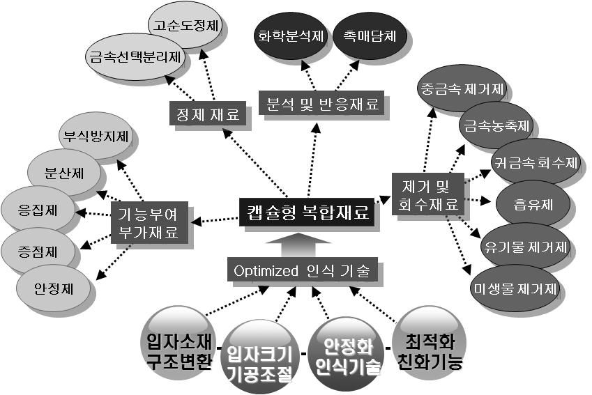 그림 24. 마이크로캡슐기반표적지향형약물전달체의모식도. 56 그림 25. Molecular imaging 용산화철입자의, amphiphilic lipid 를이용한캡슐화공정. 59 으로부상하고있다. 60 재생개념의도입에의한인공장기는본래조직의세포의재생과이세포들이성장할때지지체가되어주는생체적합성담체가근간이된다.