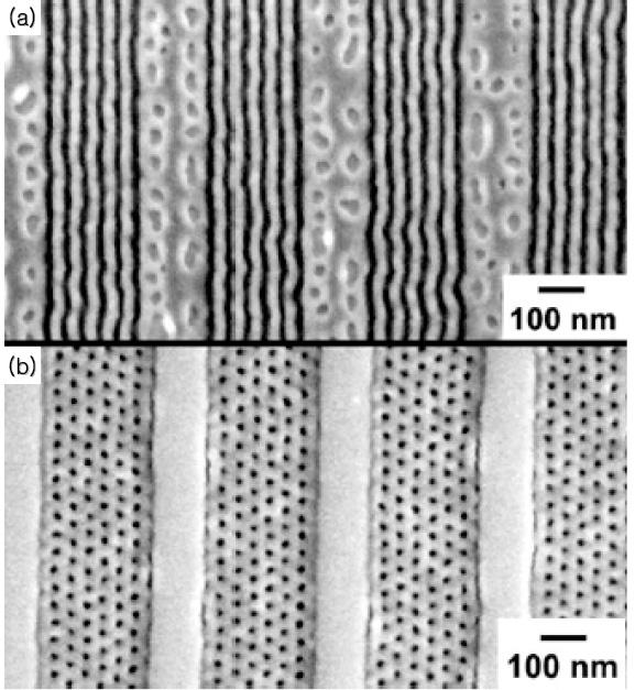 그림 17. 고리형올리고머를이용한중합공정의장점. 26 그림 16. (a) Surface parallel and (b) surface perpendicular cylindrical nanostructure controlled by lithographically patterned array of 0.2 μm lines.