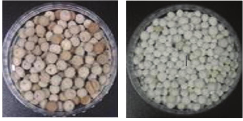 5 activated carbon activated carbon Mordenite BEA zeolite Natural zeolite 1< 2 1 5.5 8. 2 1 2 1 3 5 8 1 5 6 8 1 3 6 11. 11. 17. 82.3 41.1 Table 2.