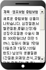 SMS MOBILE COUPON 통합모바일메시징시스템구축 LMS MMS