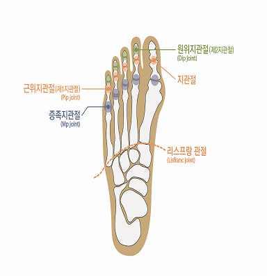 흉복부장기또는비뇨생식기기능에약간의장해를남긴때 지급률 100 75 50 30 15 나. 장해의판정기준 1) 심장기능을잃었을때 라함은심장이식을한경우를말한다.