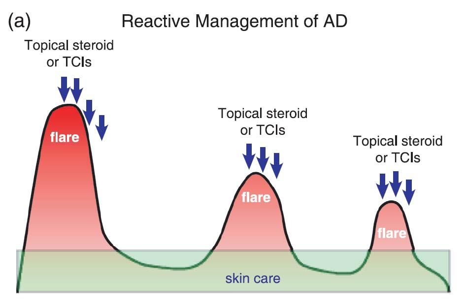 RADWG 국소치료법 Proactive treatment Reactive