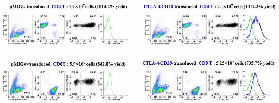 [ 그림 37] 혈액종양치료모델에서 CTLA4-CD28-modified DLI 의효과 5.