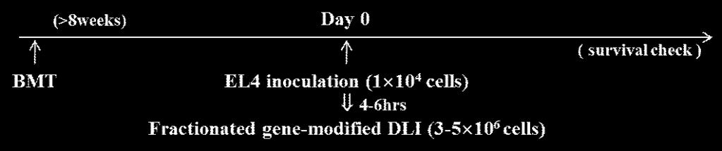 - 따라서, CTLA4-CD28 chimera-modified DLI 는 CD4 및 CD8 이동량 combine 된경우, 그치료효율의극 대화를이룰수있으며, preventive model 이아닌 tumor treatment model 에서도 DLI 의치료효능을향 상시킬수있음이확인됨 ( 그림 12).