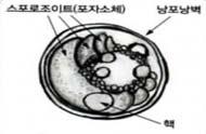 이런환자에서는심한탈수와체중감소가동반됨 ), 메스꺼움, 구토또는복통이고, 고열이나는경우등임.