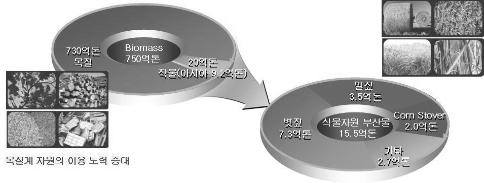 Figure 1. 세계바이오매스자원현황. 직접연소 열, 전기 열분해 액체연료 열화학적전환기술 가스화간접액화고압액화 합성가스액체연료 ( 메탄올, 가솔린 ) 중질상연료 저온가스화 수소, 메탄 Figure 2. 바이오매스의열화학적전환기술. 기타전환기술 탄화 ( 고체연료 ) RDF( 고체연료 ) corn stover가 2.0억톤정도가된다.