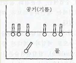 6 계면활성제 (I) 7/11 분자구조 분자분자중에중에물과물과친하지친하지않은않은원자단원자단 ( 소수기 ( 소수기또는또는친유기친유기 ) 과 ) 물과물과친한친한원자단원자단 ( 친수기 ( 친수기 ) 이 ) 합해진합해진구조구조 물에물에녹이면녹이면친수기는친수기는물쪽으로쪽으로