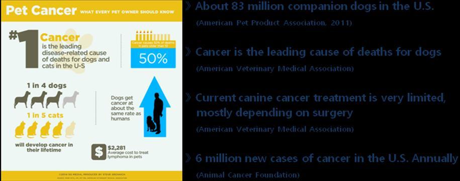 글로벌동물용의약품시장 Overview 미국강아지약 8300 만마리이상 매년약 6 백만마리가신규암진단 10