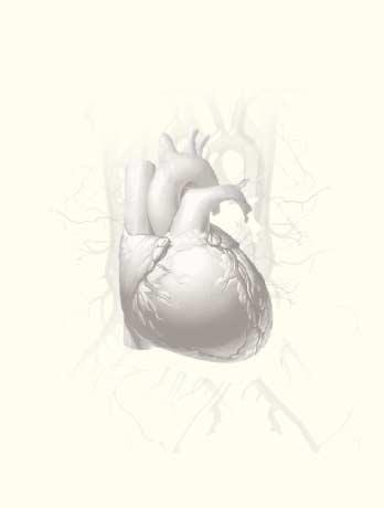 Cardiovascular 심장과혈관 Update 주제 : 심장부정맥 Vol.2, NO.