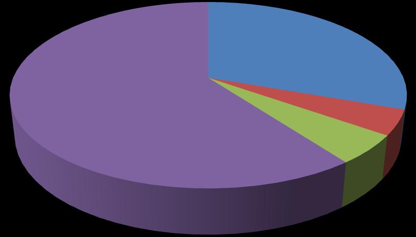 < 그림. 주주구성 > 조정읷등특수관계읶 3% 기타 60% 한국밸류자산 운용 4% 세이에셋코리아자산운용 5% 국내유일주민증실적사업자