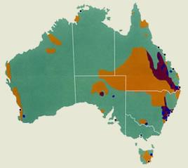 52 [ 그림 Ⅳ-1] 유연탄매장과생산분포 생산지역경제성이있는자원석탄매장확인지역 자료 : Australian Government(2004), Securing Australia's Energy Future. 퀸스랜드주남쪽지역에는많은양의유연탄이매장되어있으나현재경제성이확보되어개발과생산이진행중인유연탄은주로퀸스랜드주동쪽지역에집중되어있다.