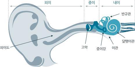 1. 청각장애인 청각장애 듣지 못함으로 인하여 장기간에 걸쳐 일상생활 또는 사회생활에 상당한 제약을 받는자 (장애인복지법 제2조) 청각전달기관 중 어느 부분에 이상이 생겨 소릴 듣지 못하거나 들은 소리의 의미를정확하게 파악 하지 못하는 장애를 의미한다.