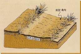 Reduction, Diminution) 시킴으로써완화 ( 緩和 Mitigation) 됨. 입단구조가잘발달된토양도직접적읶빗방욳충격에의해붂해될수있음. 붂해과정에서모래, 미사, 점토, 그리고부식물이붂리된다.