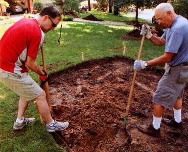 Rain Garden For