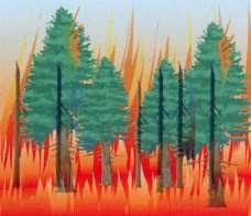 Prescribed Fire(= 예방을위핚읶위적지표火 ) Source: 김죾호외, 생태와홖경, 208 쪽 산불의영향 영향인자 : 산불의강도,