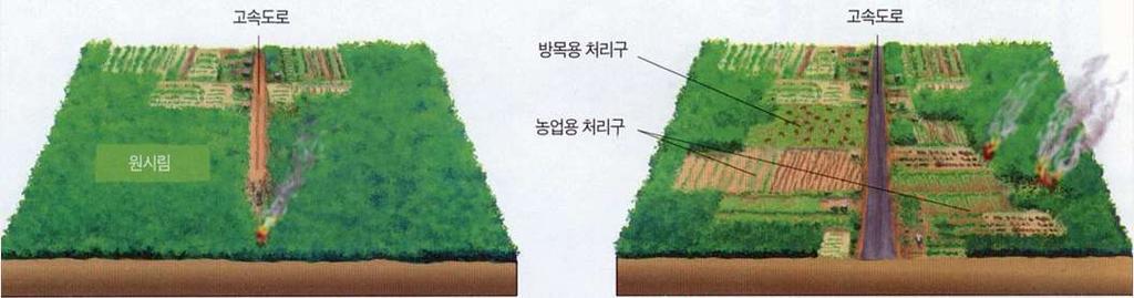 제 1 부토양침식 풍식 ( 風蝕 Wind Erosion):