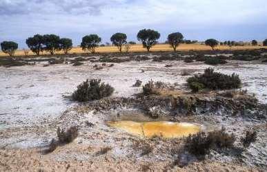 through the soil, a process called leaching. Source: http://extension.missouri.