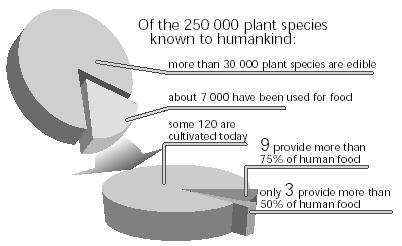 인류에게알려진 30 만개의식물종중에서 식용으로이용가능한종수 : 약 30 만개 식용으로이용되었던종수 : 약 7 천개 현재재배되는종수 :