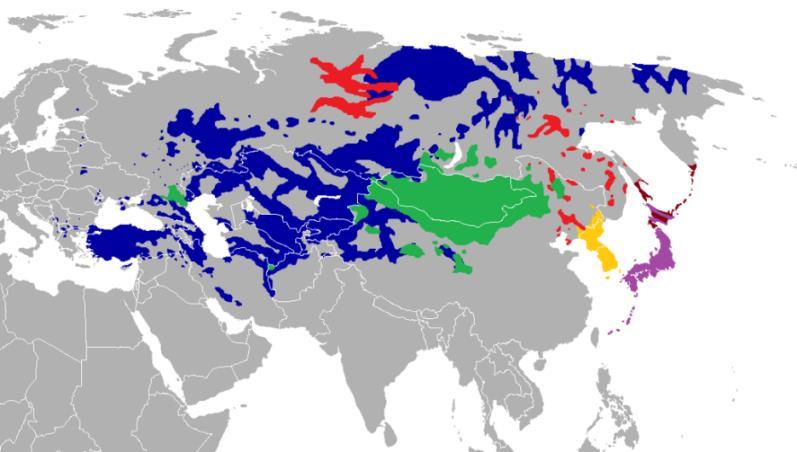 계통적분류 (3) Altaic languages 튀르크어파 Turkic ( 청색 ) Turkish, Kazakh, Kyrgyz, Uzbek, Azerbaijani, Turkmen, Uyghur, Chuvash, Chylym, etc.