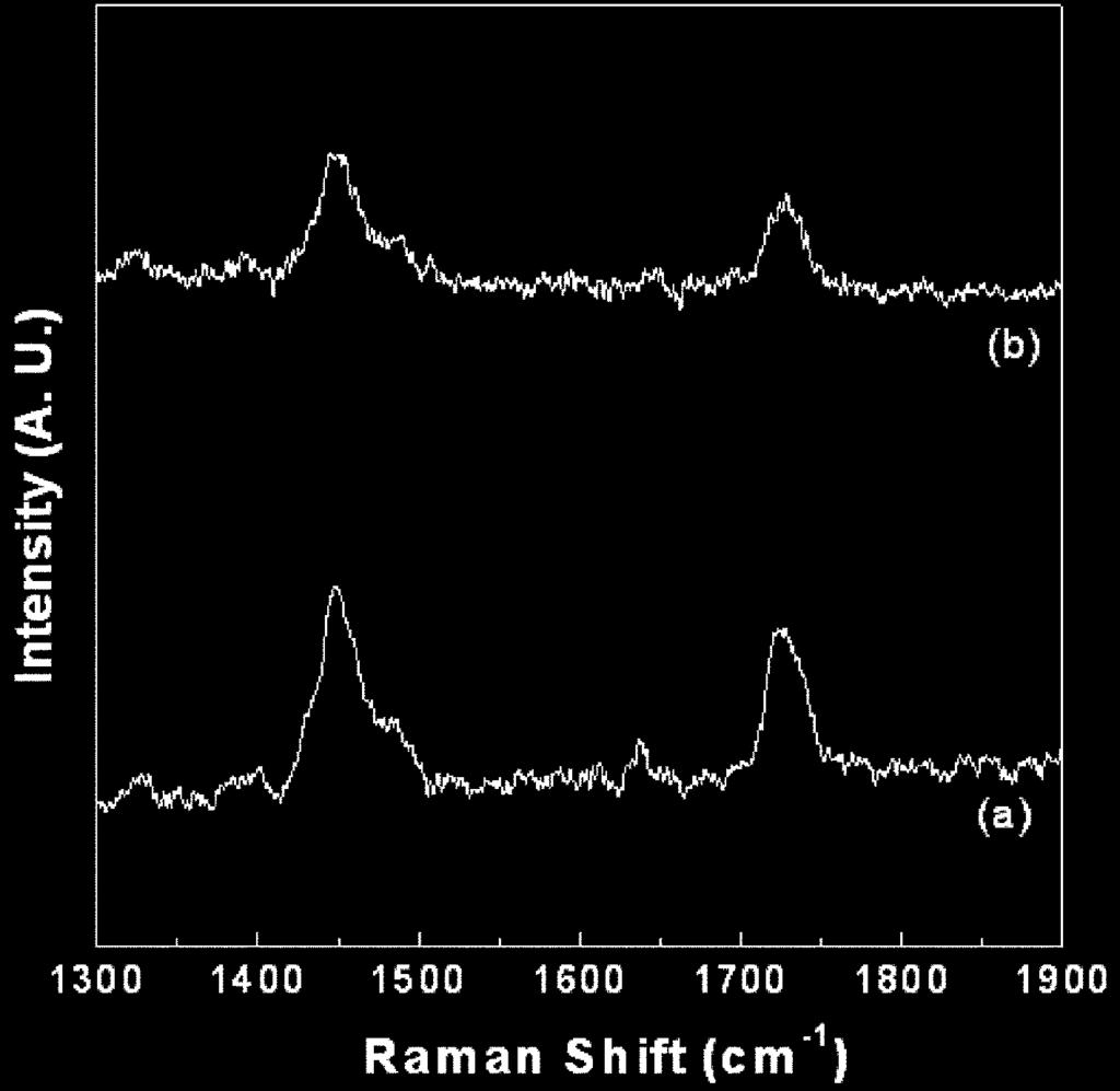 남기영 이철재 정맹준 348 자현미경측정 결과를 Fig. 6에 나타내었다. 그림에 나타낸바와 같이 표면 거칠기나 표면의 기공도에는 Silver/PMMA 나노복합체와 순수 PMMA 수지가 큰 차이가 없음을 확인할 수 있었다.