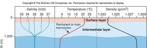 바닷물의특성 : 수온, 염분, 밀도 깊이에따른수온, 염분, 밀도의변화 수온 (temperature): -