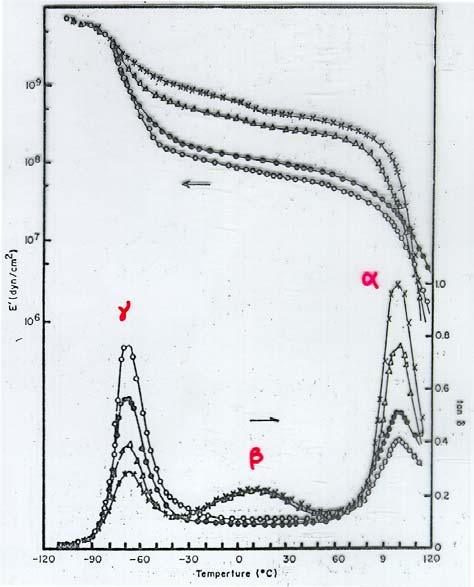 Tan δ 의피크가동적점탄성에서主轉移인 α 전이 (transition) 이며, 국부적인사슬분자운동 (Chain segment movements) 에의해일어난다. 그꼭지점이동적점탄성에의한유리전이온도 (Tg) 로그높이가증가하면열운동하는분자사슬의수가증가됨을의미하고, 고온쪽으로이전되면열운동에대한분자저항성이커진다는것을의미한다.