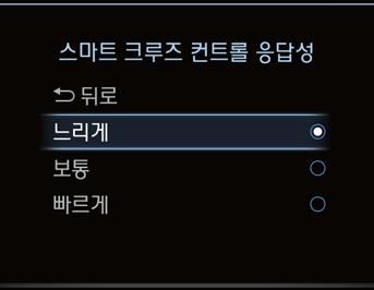 05 차간거리감지센서감지영역내에임로액세서리 ( 번호판몰딩, 스티커등 ) 를부착하거나그릴을교체하지마십시오. 센서성능에영향을미칠수있습니다. 센서나그릴위를깨끗하게유지하십시오. 세차시커버훼손방지를위해부드러운천으로세차하십시오. 또한, 그릴뒷면에장착된센서에직접적으로압세차로물을분사하지마십시오. 센서나센서변에전방충돌등충격이가해지지않도록하십시오.