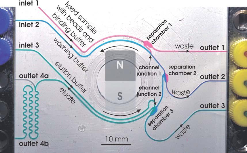 The arm from the sample to the separation channel is 85 μm wide, and the arm from the waste to the separation channel is 300 μm wide.