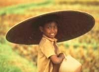 Loloan-Malay Bali 민족 : Loloan-Malay Bali 인구 : 32,000 세계인구 :