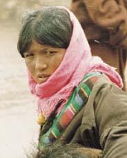 미전도종족을위한기도중국의 Tibetan, Nghari 민족 : Tibetan,
