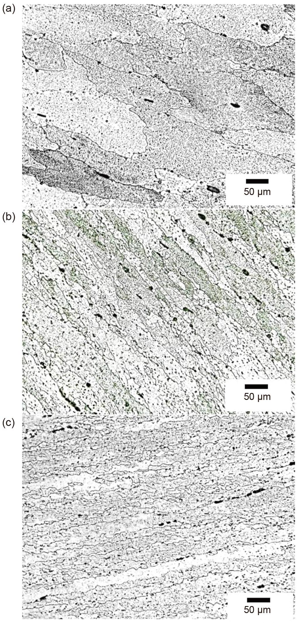 798 대한금속 재료학회지 제54권 제11호 (2016년 11월) Fig. 6. EBSD maps of AA6082 tested at 500 with a strain rate -1 of 0.05 s at a strain of (a) 0.25, (b) 1.0, (c) 2.0, (d) 3.0, (e) 4.