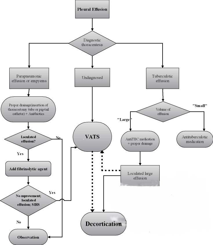 GH Choi et al: Results of application of video-assisted thoracoscopic surgery for the treatment of empyema thoracis Figure 2.