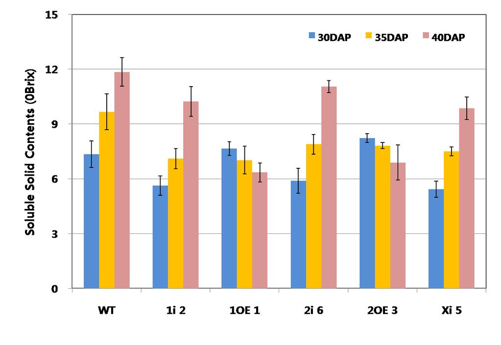 Figure 22. Comparison of the soluble solid contents in transgenic plants transformed by Myb1 (1i2 and 1OE1), Myb2 (2i6 and 2OE3) and CmXET (Xi5) during fruit ripening.