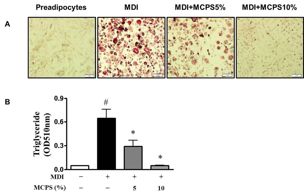 Cells were then replaced with maintenance media containing 1 μg/ml insulin and MCPS for every 2 days.