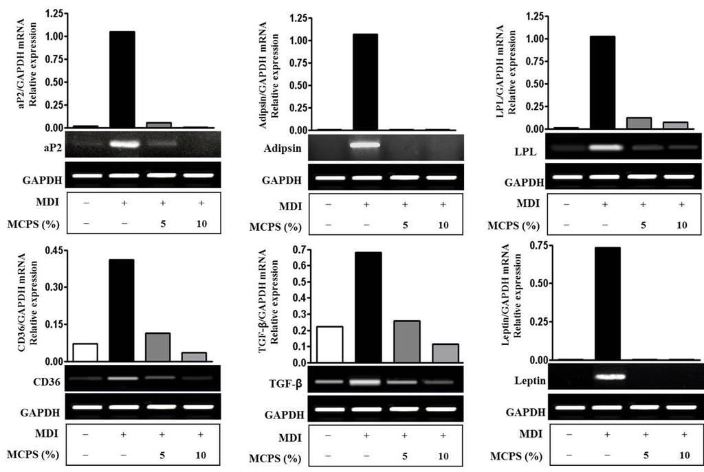 The mrna levels were determined by RT-PCR as described in ʻMaterial and Methods. Fig. 7. Effects of MCPS on the Expression of LXRα and FAS in mrna Level.