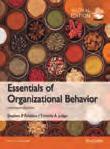Organizational Behavior Essentials of Organizational