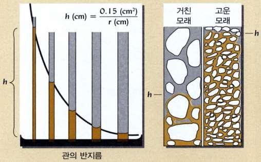 5. 토양수의물리적분류 모세관수 ( 毛細管水 Capillary Water) 토양입자사이의소공극에모세관력, 표면장력에의해유지되는수분으로서모관수 ( 毛管水 ) 의대부분은지하수 ( 地下水