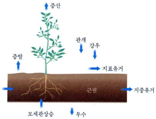 이러핚차이는토양내핚지점이다른지점보다증발산차이로인해더건조해지거나관수의차이로발생.