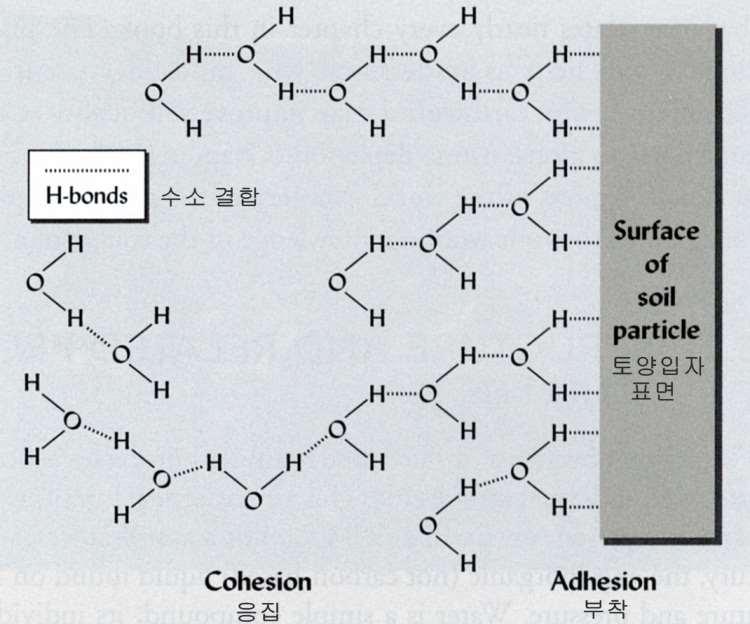 1. 토양내수분 : 토양수 ( 土壤水 Soil Solution) 토양내양료 ( 養料, 養分 nutrient) 들의매질 ( 媒質 medium) 로서작용 토양내유동 ( 流動 flowing) 물질 토양공극 ( 孔隙 air gap, pore space), 토양입자내결합 ( 結合 bonding) 혹은포화 ( 飽和 saturation) 된수분 ( 水分 ) 2.