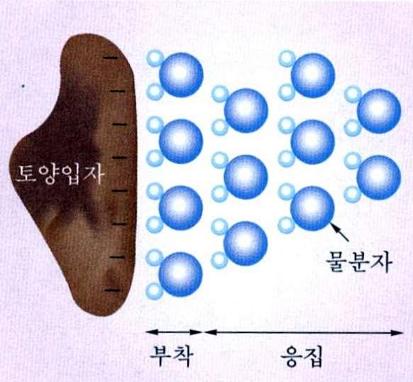 2. 물 (H 2 O) 의물리력