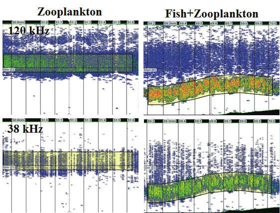 음향산란층의식별을위한에코그램분석방법비교 859 Fig. 5. The db-difference of section of only zooplankton and mixed zooplankton and fish using 38 and 120 khz..,,