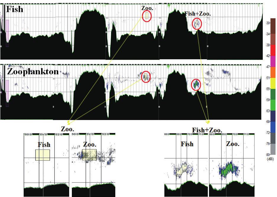 860 최석관ㆍ윤은아ㆍ한인우ㆍ오우석 Fig. 7. Exampled of echograms to identify zooplankton and fish using MVBS method. Fig. 8.