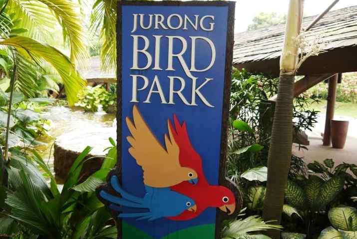주롱새공원 새와동물에관심이많은사람이나, 아이들의학습과여행을동시에경험하고자한다면필히들려야할곳이바로여기주롱새공원!