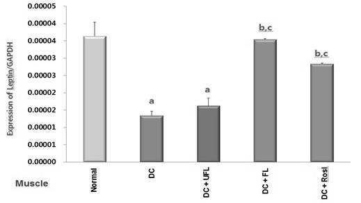 김형구 Shambhunath Bose 김동일 구병수 김호준 Fig. 5. The level of gene expression of GLUT-4 in relation to that of GAPDH in the adipose tissue of rats under different experimental Fig. 7.