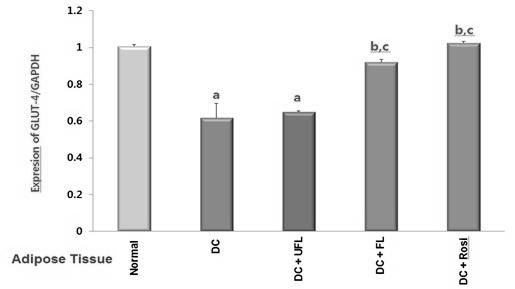 The level of gene expression of Leptin in relation to that of GAPDH in the muscle of rats under different experimental 였다 (p<0.001). DC+UFL군은 0.6504, DC+FL군은 0.9203, DC+Rosi군은 1.0247로측정되었다.