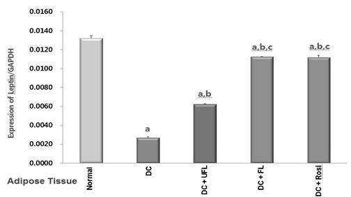 The level of gene expression of PPAR Gamma in relation to that of GAPDH in the muscle of rats under different experimental gamma 유전자의발현정도가증가하였다 (p<0.00001)(p< 0.001). PPAR gamma 유전자의발현정도를근육조직에서측정하였을때 (Fig.