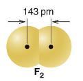 double bonds 단일공유결합 고립전자쌍 F F 고립전자쌍 삼중결합 두원자가세쌍의전자를공유 고립전자쌍 F F 고립전자쌍 단일공유결합 N N or N N