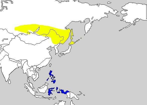 5-9. 붉은허리개개비 Gray's Grasshopper Warbler Locustella fasciolata 분포지 : 러시아오브강동쪽에서부터동쪽으로아무 르, 우수리강일대, 중국동북부에서번식하고, 비 번식기에는필리핀, 셀레베스, 몰루카제도, 뉴기 니서부에서월동한다. 현황 : 적은수가통과하는나그네새이다.