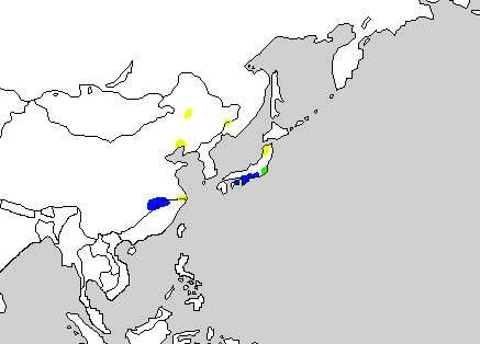 속에포함된다 (Sibley and Monroe 1990, Dickinson 2003).