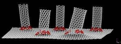 , Graphene/Nanotube hybrid for energy